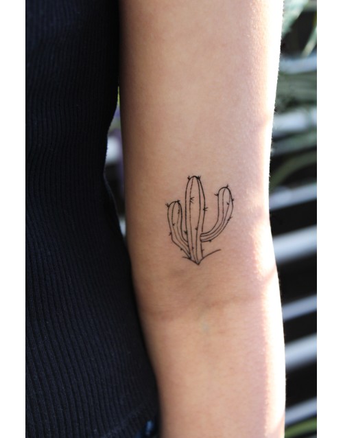 Cactus Temporary Tattoo x2